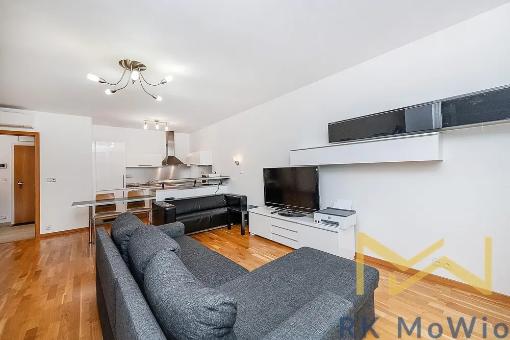 Living room; wood floor, natural light, modern style
