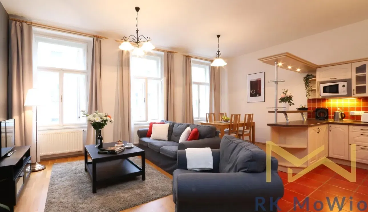 Living room; wood floor, natural light, modern style