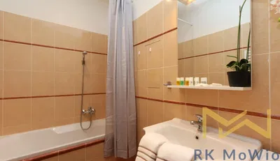 Kitchen; kitchen appliances, wood floor, natural light, modern style