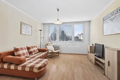 Хол; дървен под, естествена светлина, модерен стил