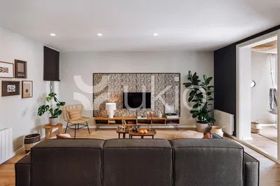 Cuisine; électroménager, parquet, lumière naturelle, style moderne