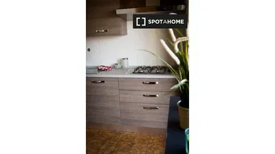 Cuisine; électroménager, parquet, lumière naturelle, style moderne
