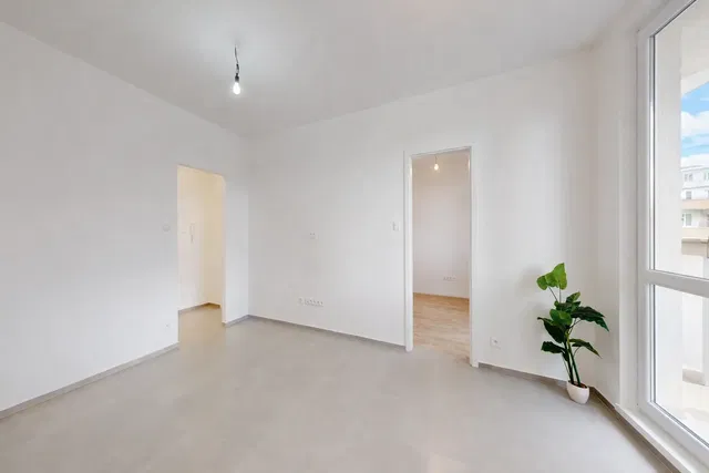 Kuchyně; kuchyňské spotřebiče, dřevěná podlaha, přirozené světlo, moderní styl