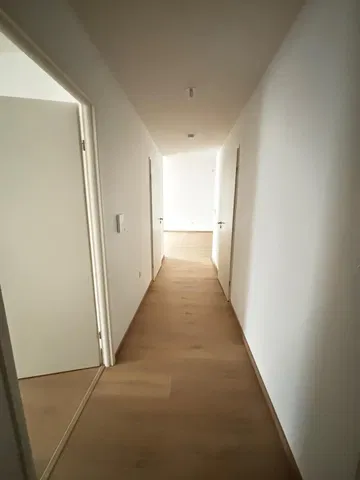 Salón; suelo de madera, luz natural, estilo moderno