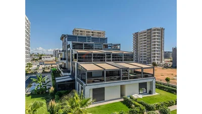 Mutfak; mutfak aletleri, ahşap zemin, doğal ışık, modern stil