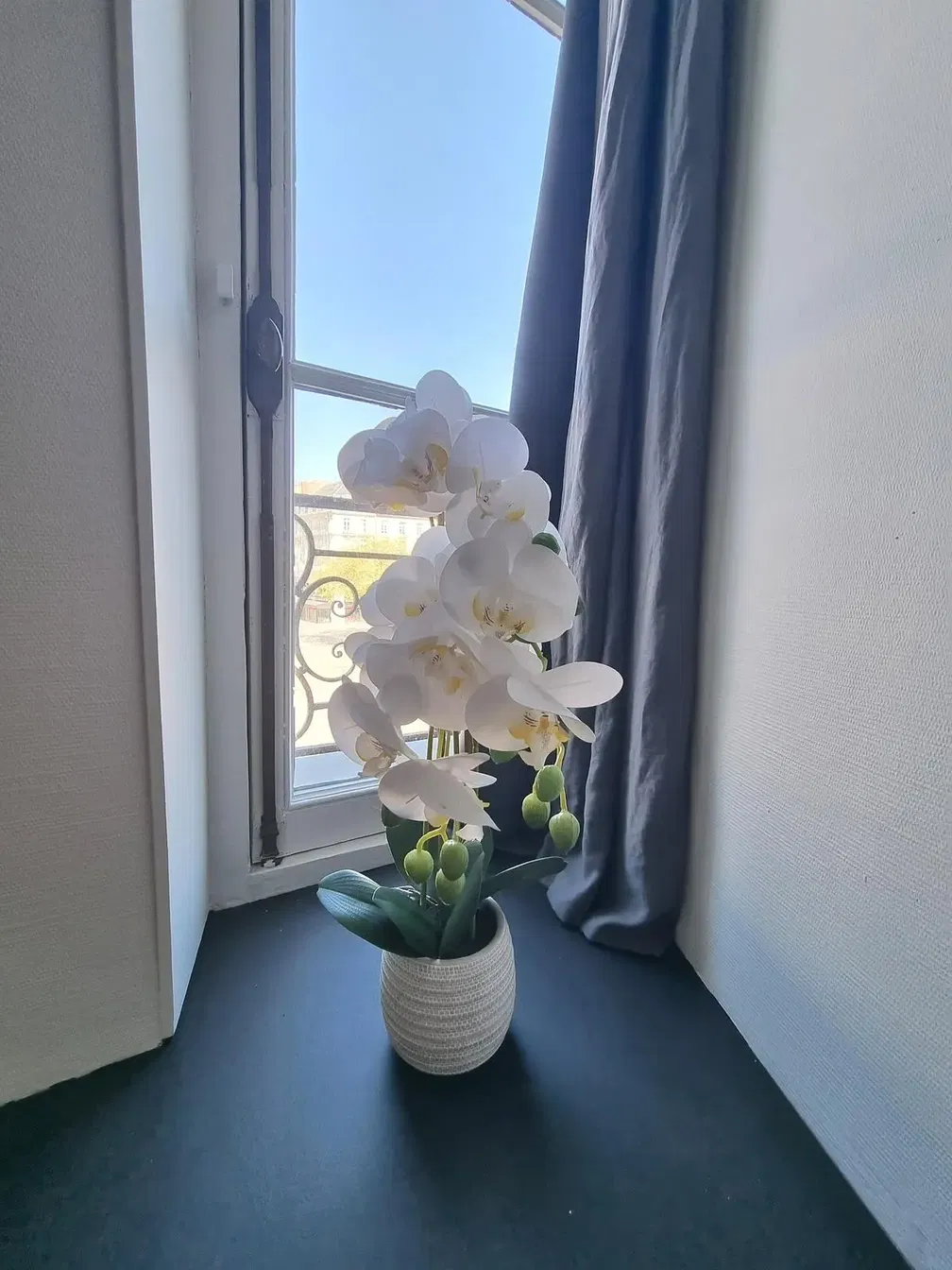 Mutfak; mutfak aletleri, ahşap zemin, doğal ışık, modern stil