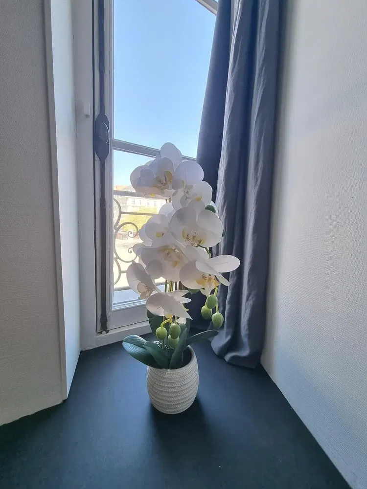 Küche; küchengeräte, holzboden, tageslicht, moderner stil