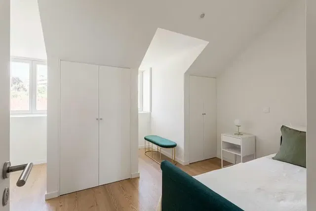 Kitchen; kitchen appliances, wood floor, natural light, modern style