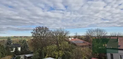 Obývací pokoj; dřevěná podlaha, přirozené světlo, moderní styl