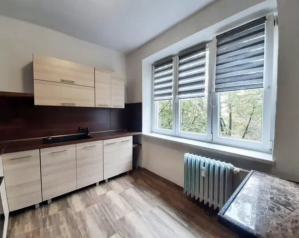 Kuchyně; kuchyňské spotřebiče, dřevěná podlaha, přirozené světlo, moderní styl