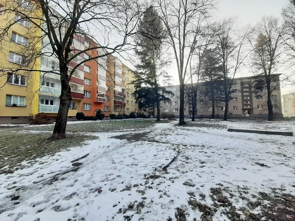 Küche; küchengeräte, holzboden, tageslicht, moderner stil