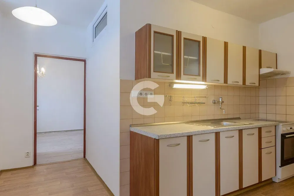 Kuchyně; kuchyňské spotřebiče, dřevěná podlaha, přirozené světlo, moderní styl