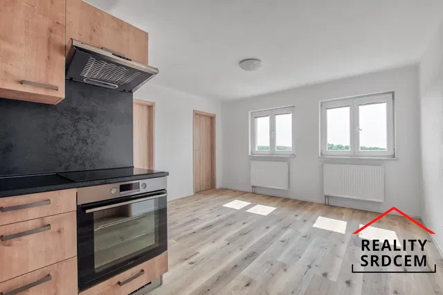 Хол; дървен под, естествена светлина, модерен стил