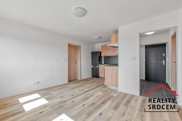 Кухня; кухненски уреди, дървен под, естествена светлина, модерен стил