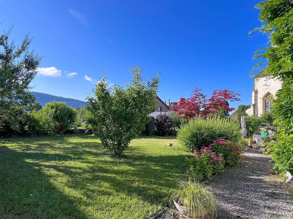 Mutfak; mutfak aletleri, ahşap zemin, doğal ışık, modern stil