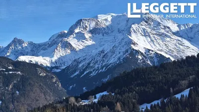 Kuhinja; kućanski aparati, drveni pod, prirodna svjetlost, moderan stil