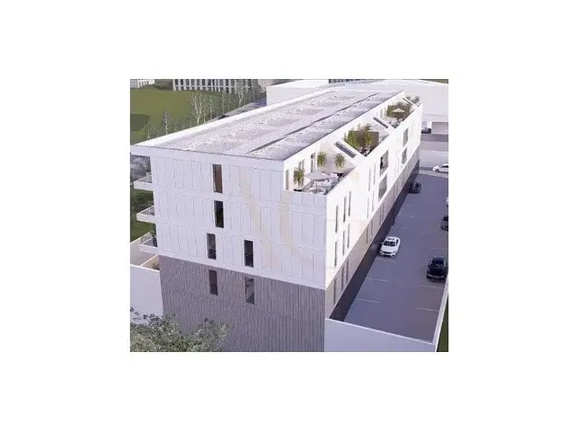 Mutfak; mutfak aletleri, ahşap zemin, doğal ışık, modern stil