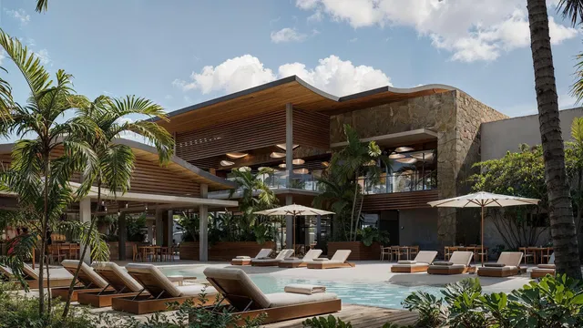 مطبخ; أجهزة المطبخ, أرضية خشبية, ضوء طبيعي, أسلوب عصري