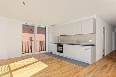 Kitchen; kitchen appliances, wood floor, natural light, modern style
