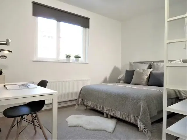 Cuisine; électroménager, parquet, lumière naturelle, style moderne