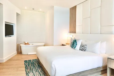 Cuisine; électroménager, parquet, lumière naturelle, style moderne