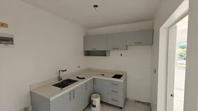 Kuhinja; kuhinjski aparati, drveni pod, prirodno svjetlo, moderni stil