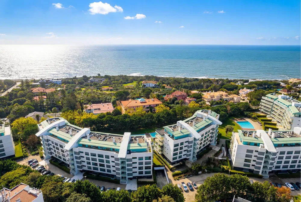 Cozinha; eletrodomésticos, chão de madeira, luz natural, estilo moderno