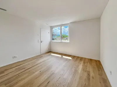 Küche; küchengeräte, holzboden, tageslicht, moderner stil