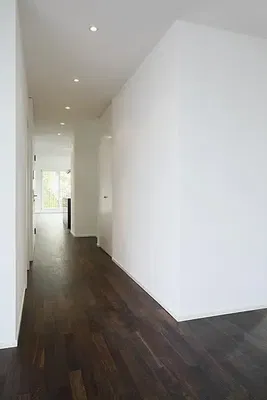 Kitchen; kitchen appliances, wood floor, natural light, modern style