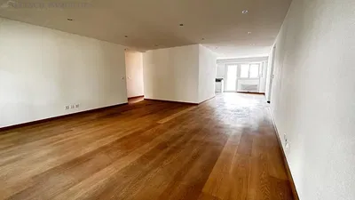 Salon; parquet, lumière naturelle, style moderne