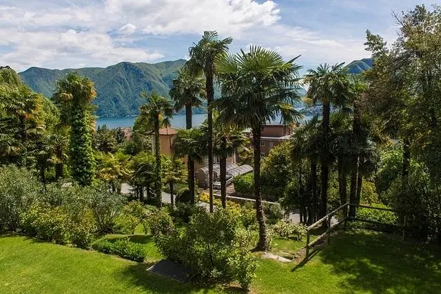 Kuhinja; kuhinjski aparati, drveni pod, prirodno svjetlo, moderni stil