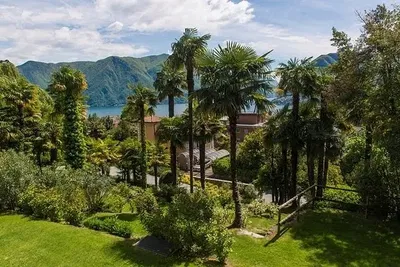 Kuhinja; kuhinjski aparati, drveni pod, prirodno svjetlo, moderni stil