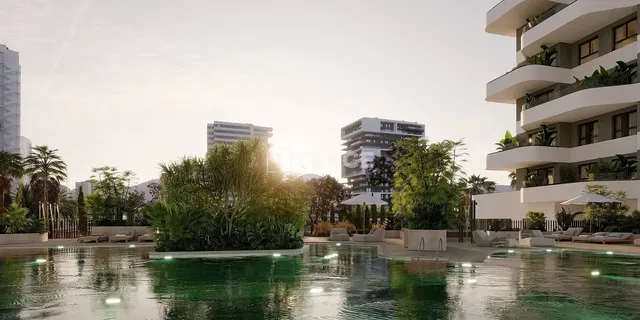 Cuisine; électroménager, parquet, lumière naturelle, style moderne