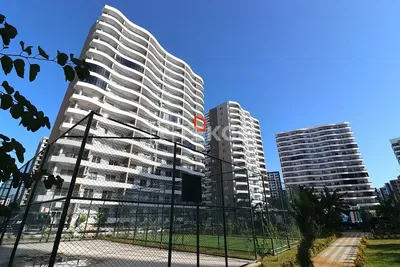 Mutfak; mutfak aletleri, ahşap zemin, doğal ışık, modern stil