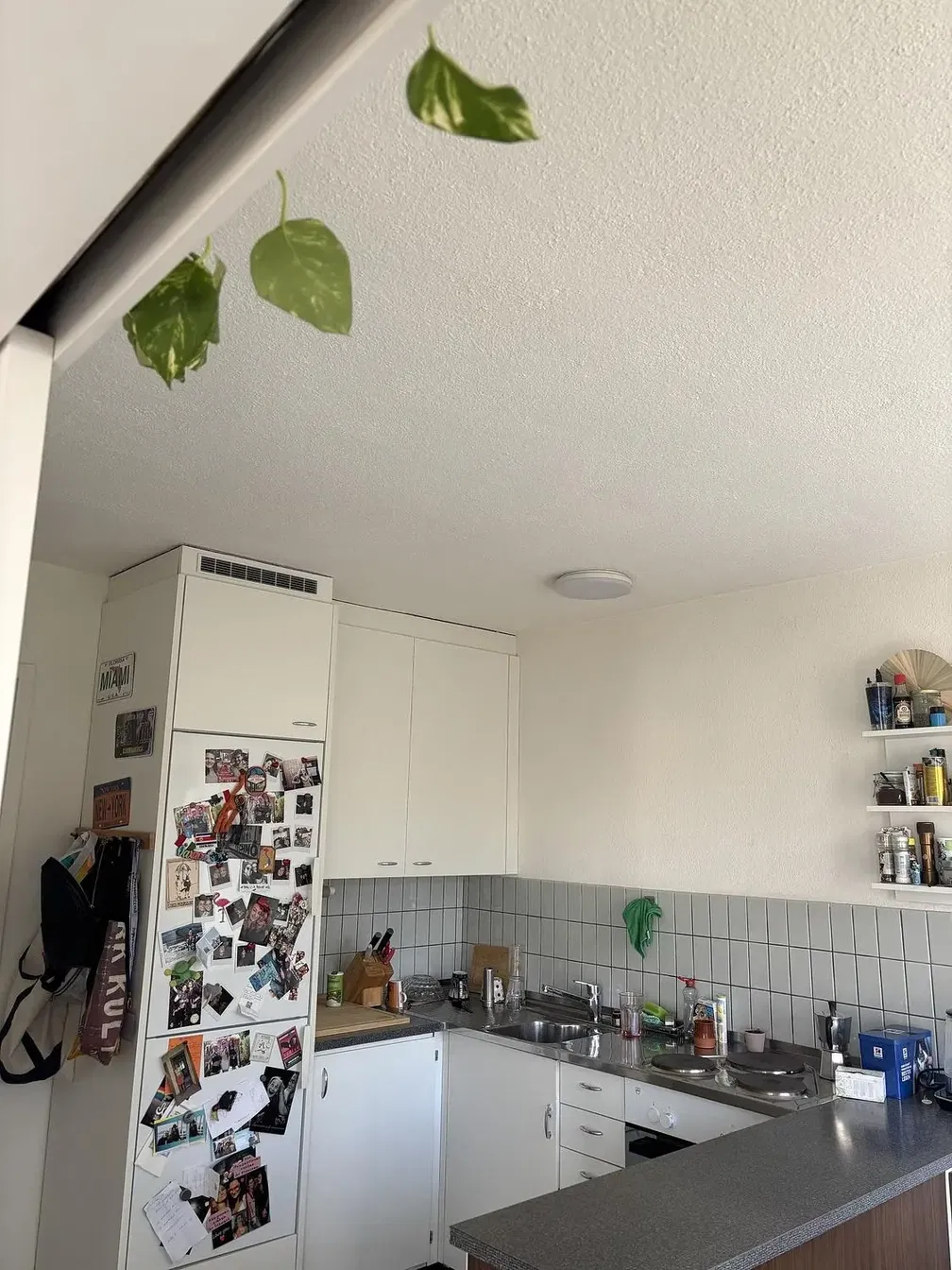 Kuhinja; kuhinjski aparati, drveni pod, prirodno svjetlo, moderni stil