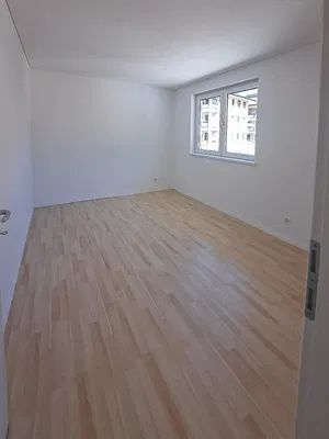 Cuisine; électroménager, carrelage, lumière naturelle, style moderne