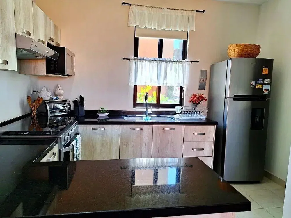 Cuisine; électroménager, parquet, lumière naturelle, style moderne