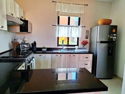 Cuisine; électroménager, parquet, lumière naturelle, style moderne