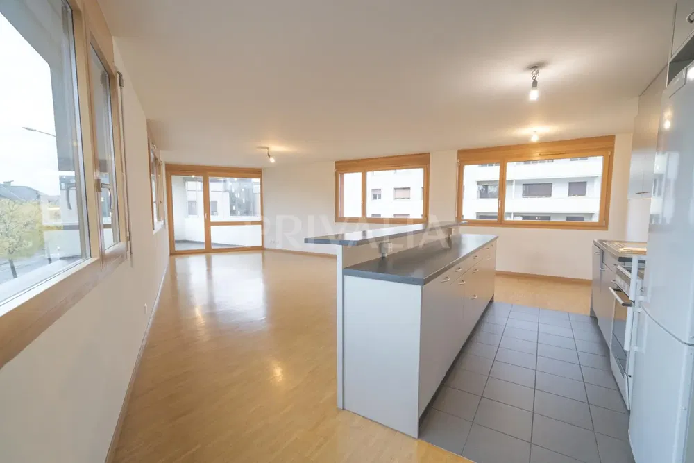 Kuhinja; kuhinjski aparati, drveni pod, prirodno svjetlo, moderni stil