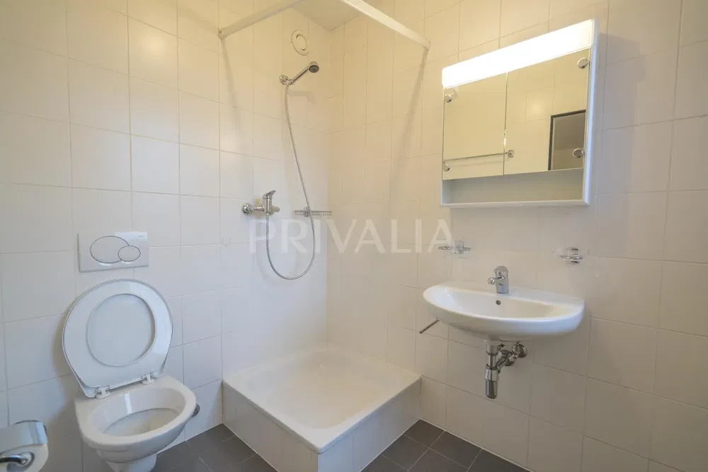 Kuhinja; kuhinjski aparati, drveni pod, prirodno svjetlo, moderni stil