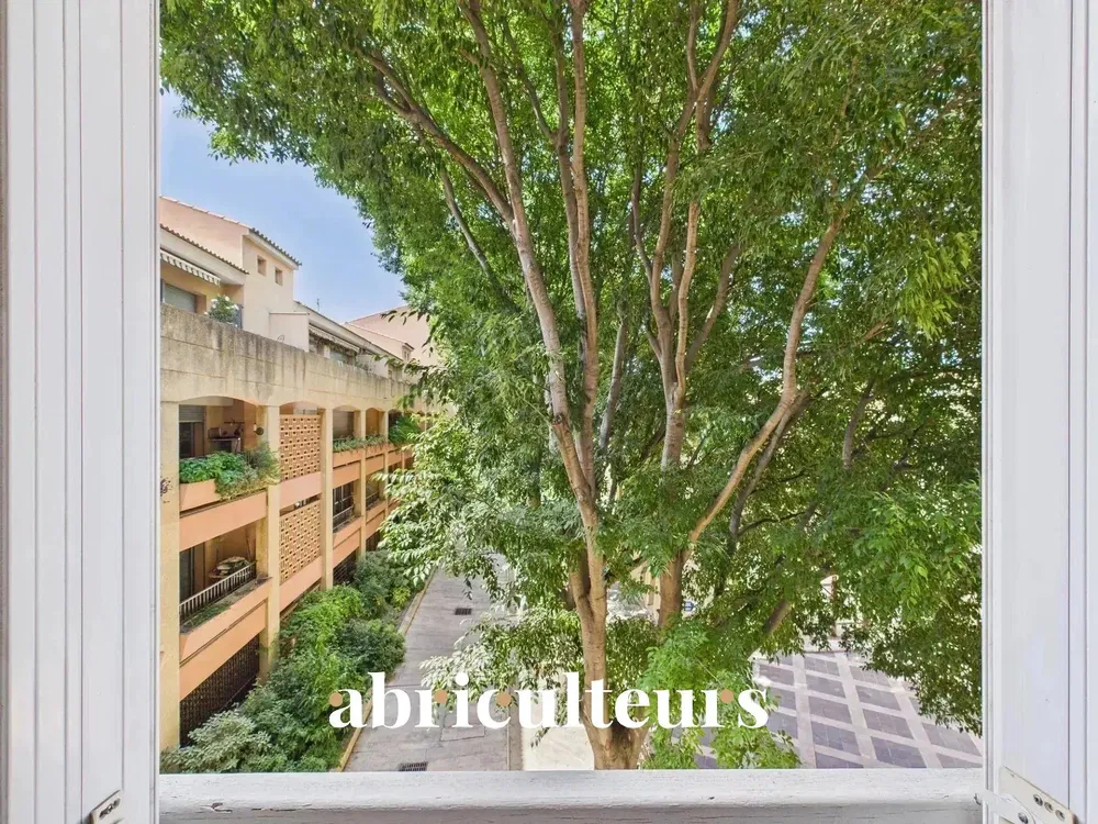 Κουζίνα; συσκευές κουζίνας, ξύλινο πάτωμα, φυσικό φως, μοντέρνο στυλ