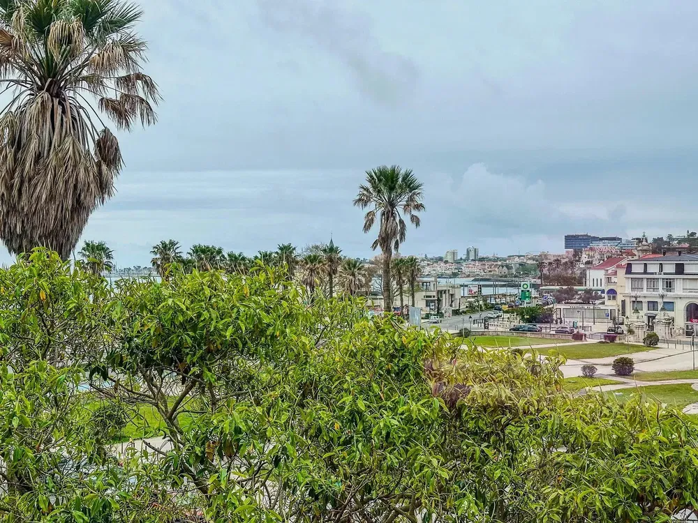 Kuchyně; kuchyňské spotřebiče, dřevěná podlaha, přirozené světlo, moderní styl