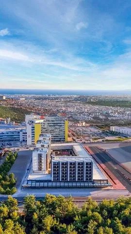 Cuisine; électroménager, parquet, lumière naturelle, style moderne