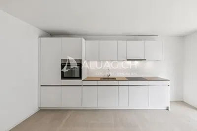 Cuisine; électroménager, parquet, lumière naturelle, style moderne