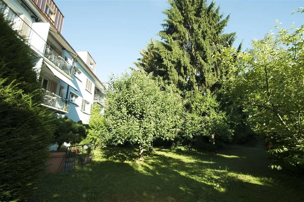 Küche; küchengeräte, holzboden, tageslicht, moderner stil