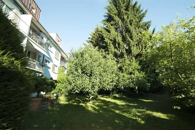 Küche; küchengeräte, holzboden, tageslicht, moderner stil