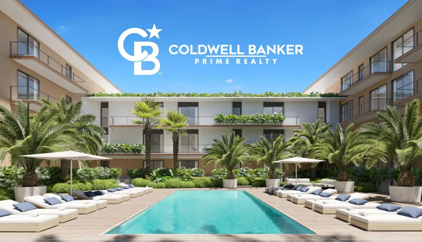 Cuisine; électroménager, parquet, lumière naturelle, style moderne