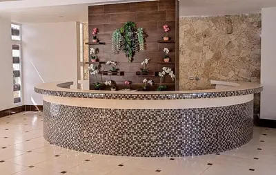 Cocina; electrodomésticos, suelo de madera, luz natural, estilo moderno