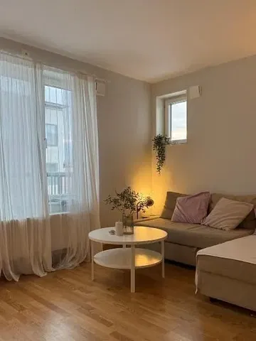 Küche; küchengeräte, holzboden, tageslicht, moderner stil