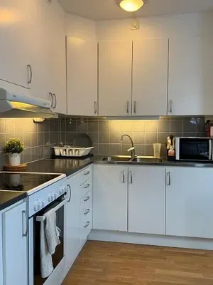 Küche; küchengeräte, holzboden, tageslicht, moderner stil